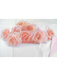Completo Singolo 1Piazza Rose Rosa 150x290 sotto angoli 90x200 +1Federa